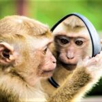 プロフィール写真